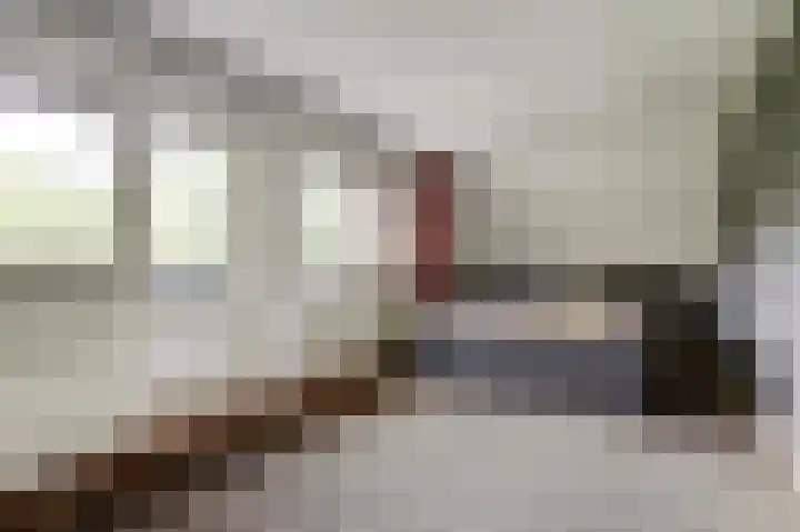 De Schepel 48 Dronten thumbnail 22