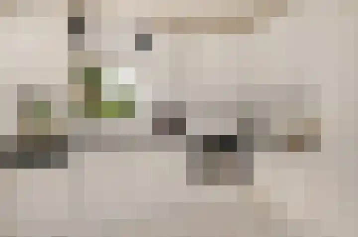 De Schepel 48 Dronten thumbnail 26