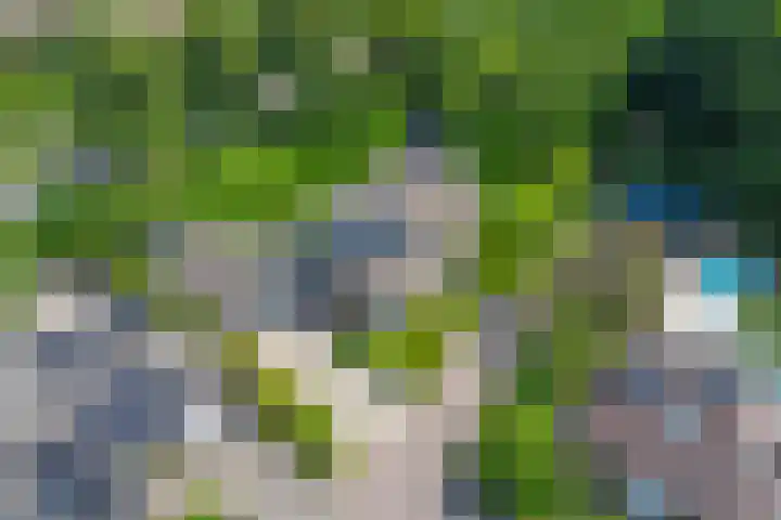 De Schepel 48 Dronten thumbnail 33