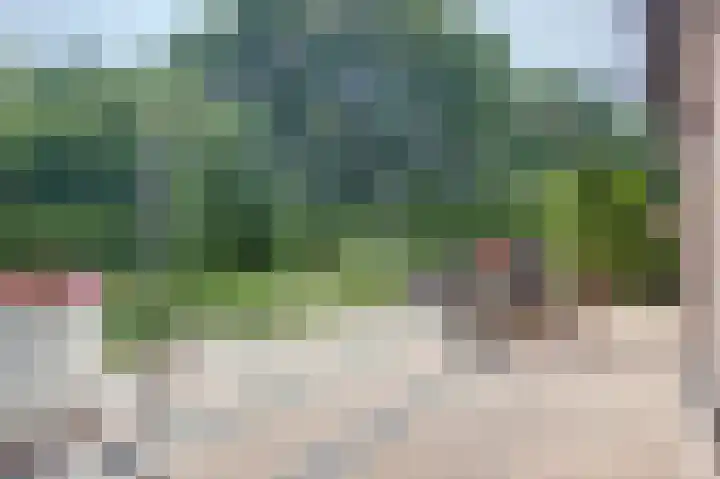 De Schepel 48 Dronten thumbnail 39