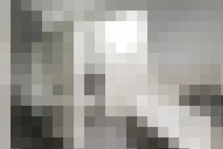 De Schepel 48 Dronten thumbnail 4