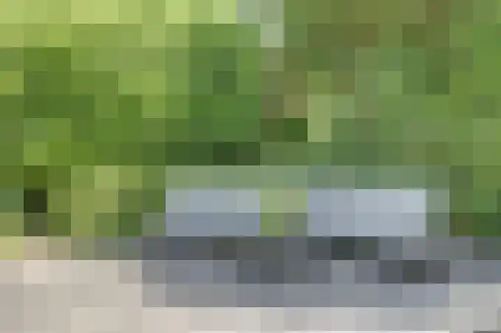 De Schepel 48 Dronten thumbnail 41