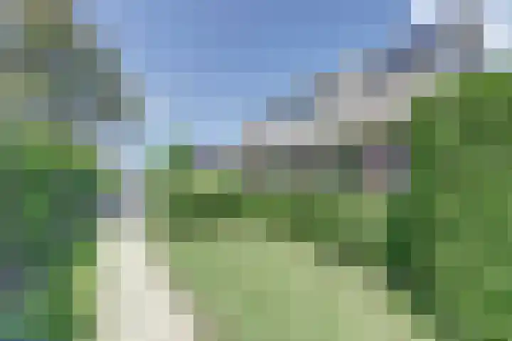 De Schepel 48 Dronten thumbnail 46