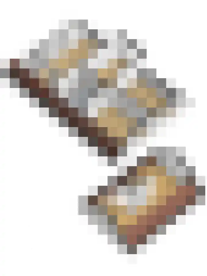 De Schepel 48 Dronten thumbnail 54