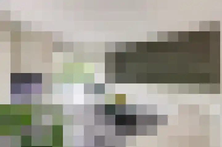 De Schepel 48 Dronten thumbnail 7