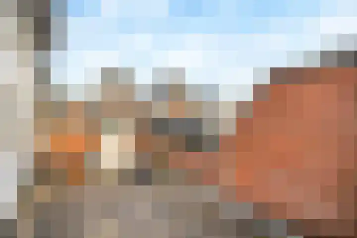 De Schepershilt 4 Leusden thumbnail 13