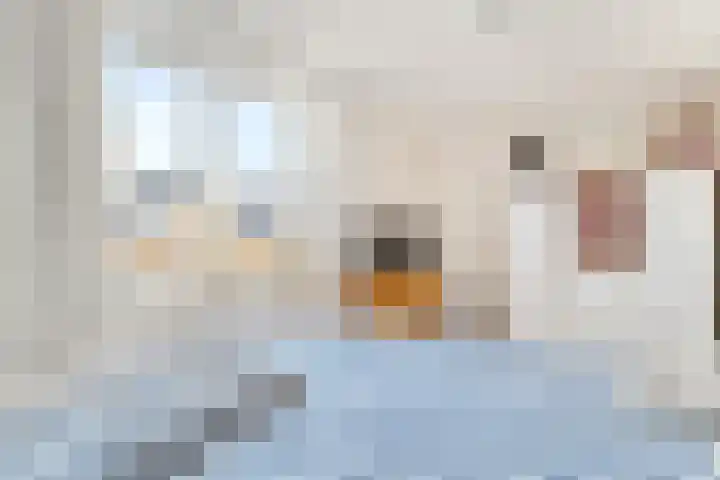De Schepershilt 4 Leusden thumbnail 17