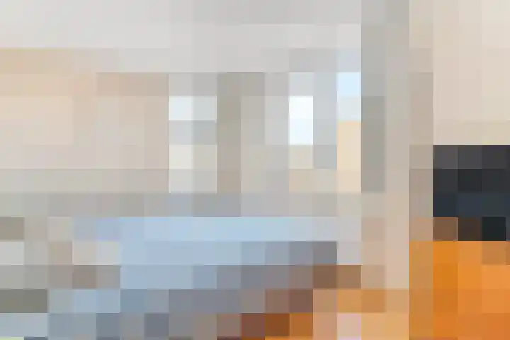De Schepershilt 4 Leusden thumbnail 18