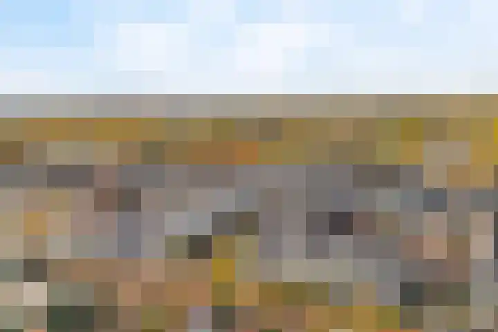 De Schepershilt 4 Leusden thumbnail 27