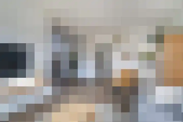 de Schepperstraat 1 Buitenpost thumbnail 12