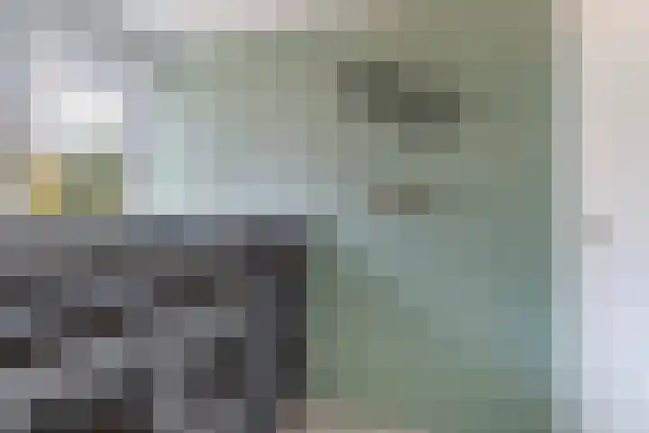 de Schepperstraat 1 Buitenpost thumbnail 38