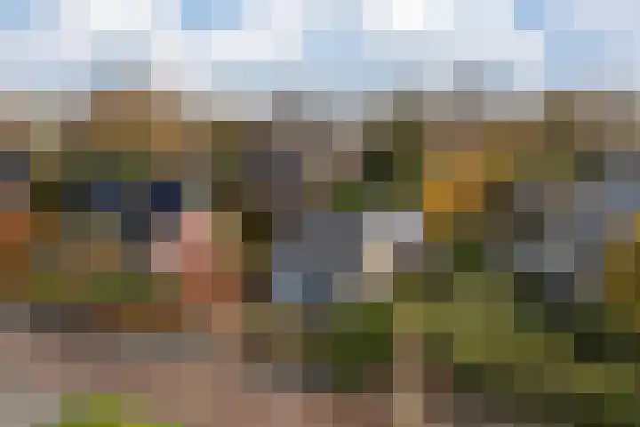 de Schepperstraat 1 Buitenpost thumbnail 41