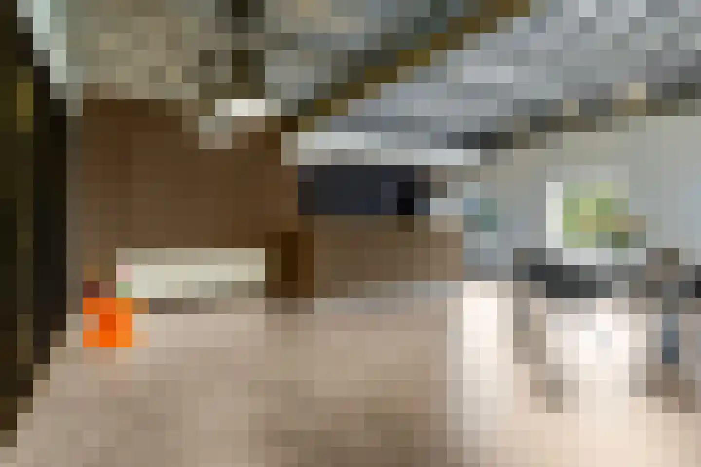 de Schepperstraat 2 A Buitenpost thumbnail 33