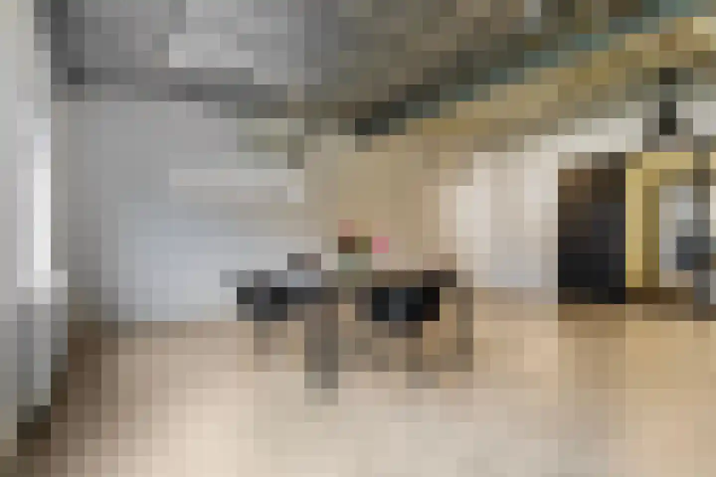 de Schepperstraat 2 A Buitenpost thumbnail 34