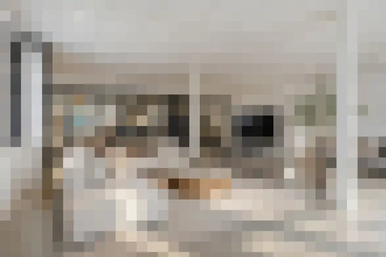 de Schepperstraat 2 A Buitenpost thumbnail 4