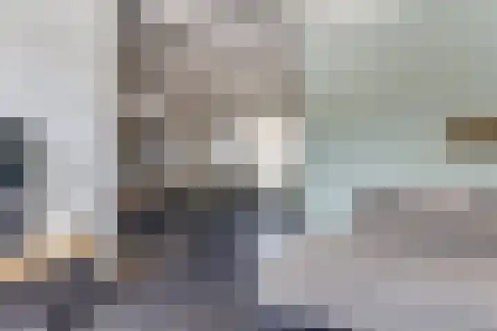 de Scherfbak 7 Reusel thumbnail 10