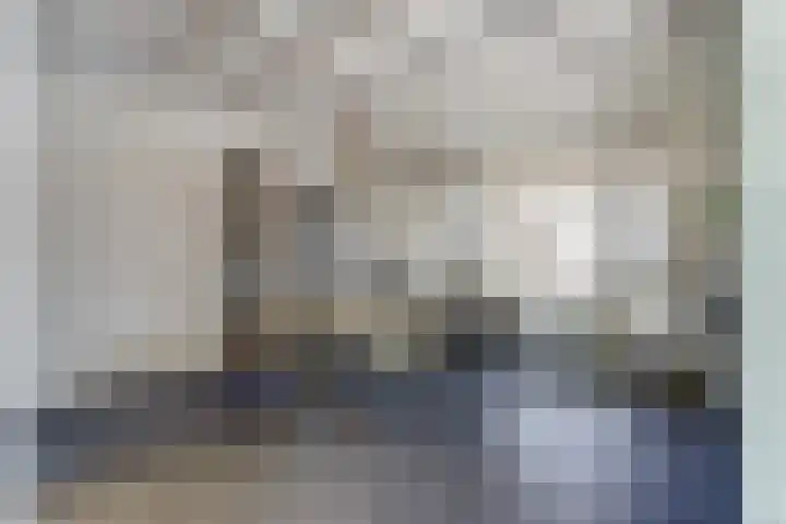 de Scherfbak 7 Reusel thumbnail 11