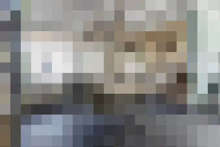de Scherfbak 7 Reusel thumbnail 13
