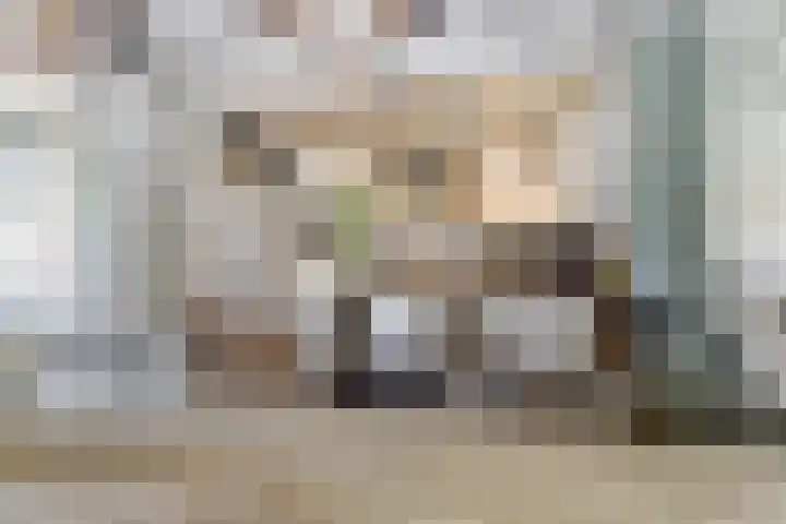 de Scherfbak 7 Reusel thumbnail 15