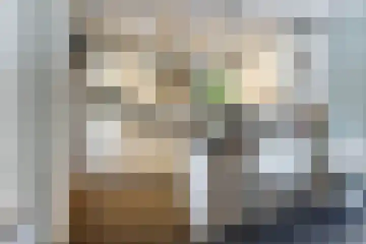 de Scherfbak 7 Reusel thumbnail 16