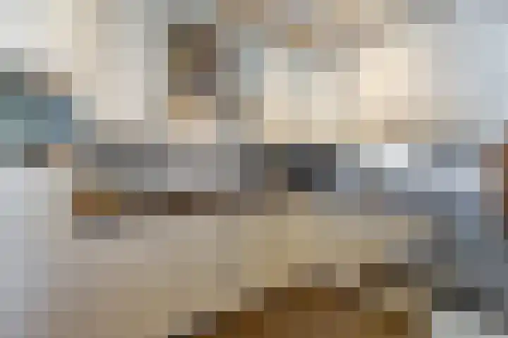de Scherfbak 7 Reusel thumbnail 18