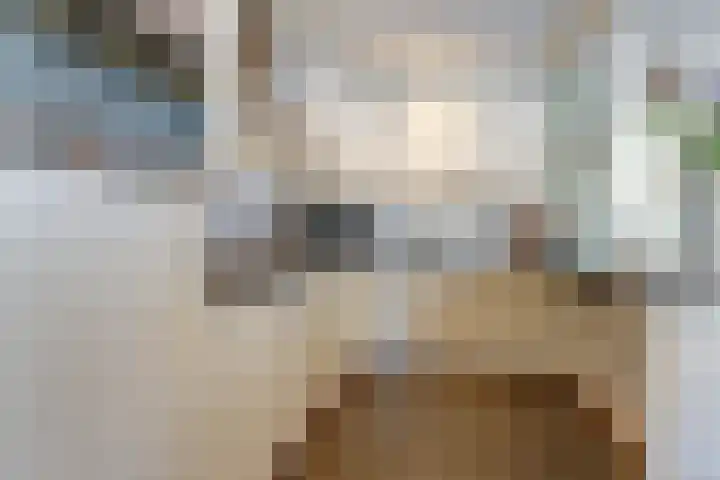 de Scherfbak 7 Reusel thumbnail 19