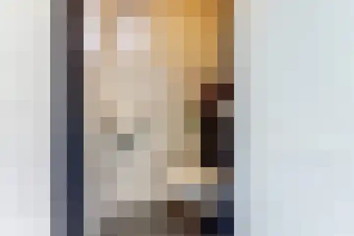 de Scherfbak 7 Reusel thumbnail 22