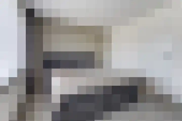 de Scherfbak 7 Reusel thumbnail 26