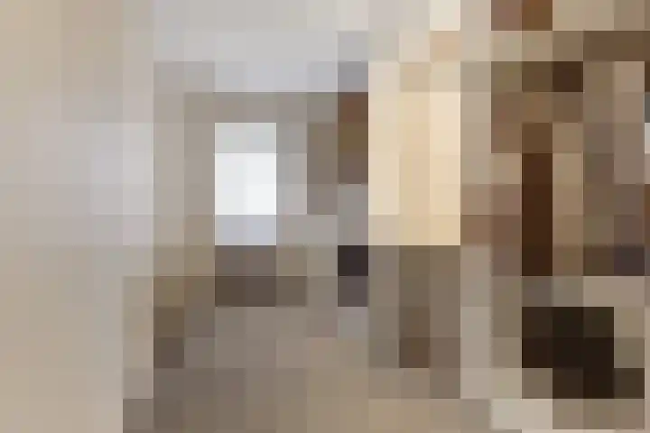 de Scherfbak 7 Reusel thumbnail 28