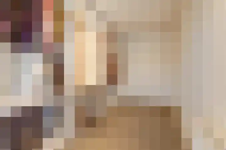 de Scherfbak 7 Reusel thumbnail 29