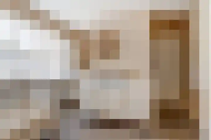 de Scherfbak 7 Reusel thumbnail 31