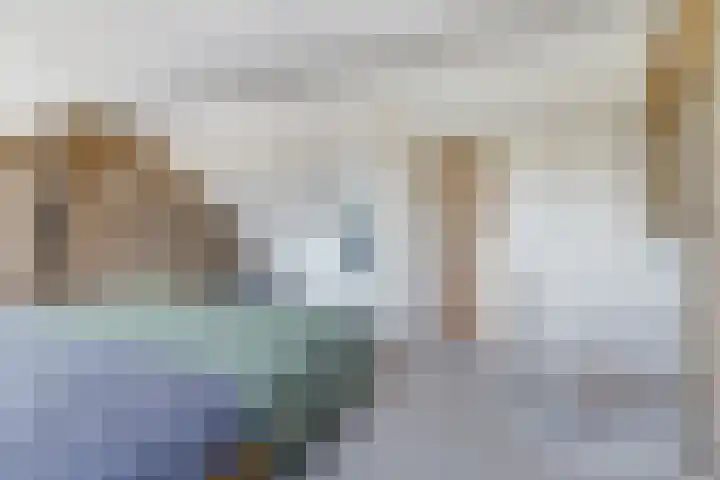 de Scherfbak 7 Reusel thumbnail 36