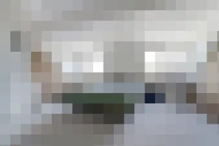 de Scherfbak 7 Reusel thumbnail 38