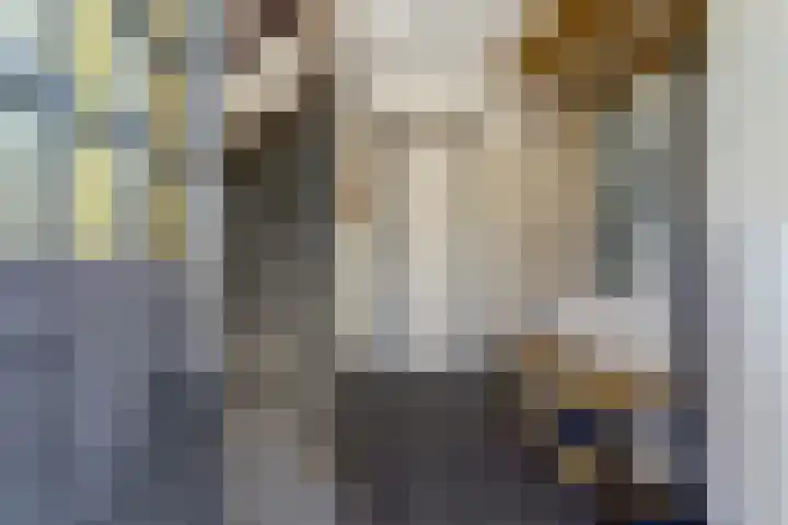 de Scherfbak 7 Reusel thumbnail 4