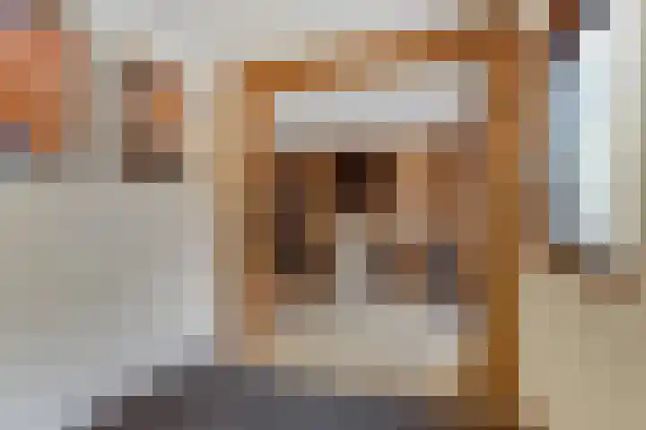 de Scherfbak 7 Reusel thumbnail 41