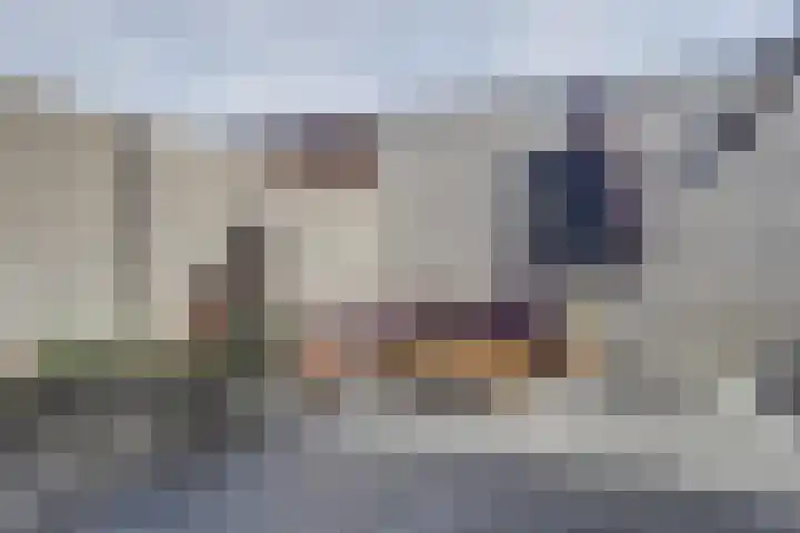 de Scherfbak 7 Reusel thumbnail 46