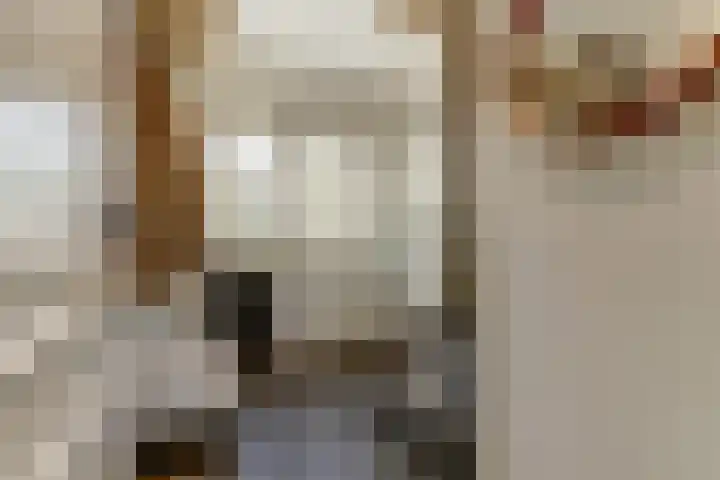 de Scherfbak 7 Reusel thumbnail 5