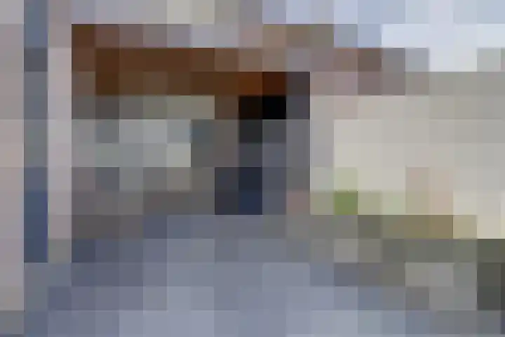 de Scherfbak 7 Reusel thumbnail 51
