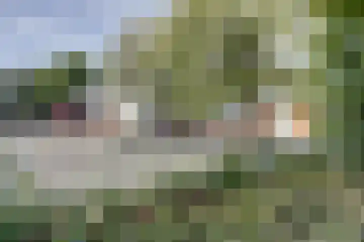 de Scherfbak 7 Reusel thumbnail 53