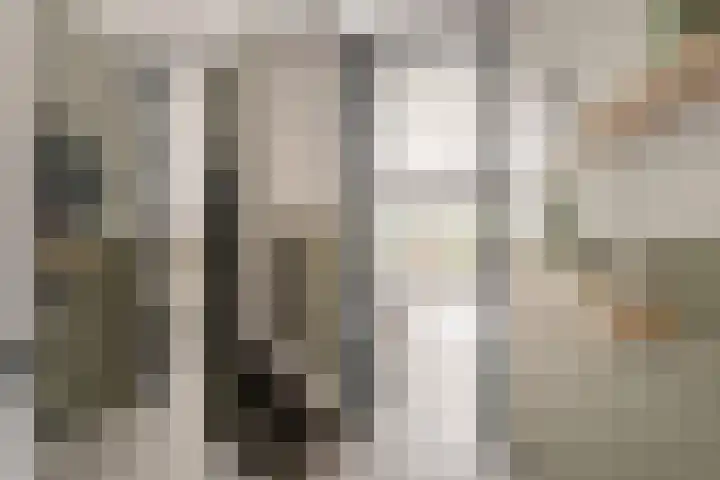 De Schie 58 Naaldwijk thumbnail 16