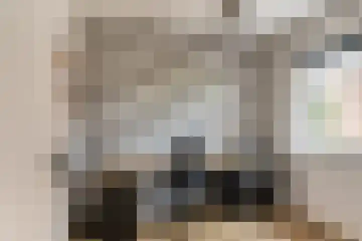 De Schie 58 Naaldwijk thumbnail 22