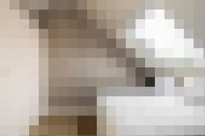 De Schie 58 Naaldwijk thumbnail 27