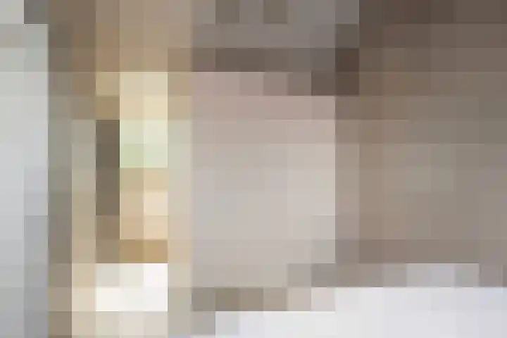 De Schie 58 Naaldwijk thumbnail 29