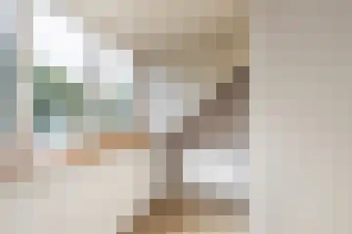 De Schie 58 Naaldwijk thumbnail 30