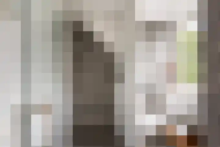 De Schie 58 Naaldwijk thumbnail 33