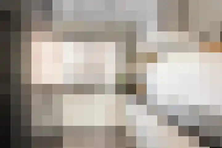 De Schie 58 Naaldwijk thumbnail 4