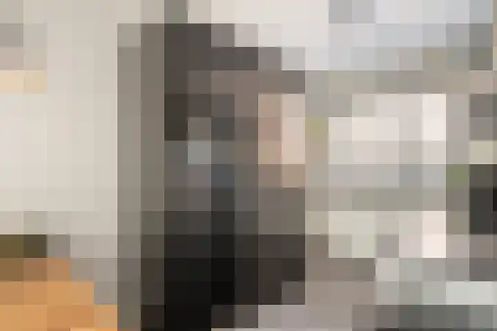 De Schie 58 Naaldwijk thumbnail 5