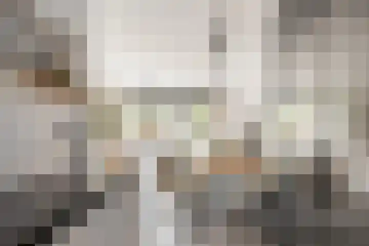 De Schie 58 Naaldwijk thumbnail 6