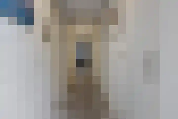 de Schilkampen 1 Sneek thumbnail 30