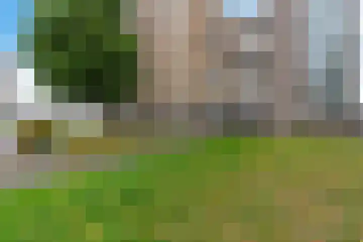 de Schilkampen 1 Sneek thumbnail 32